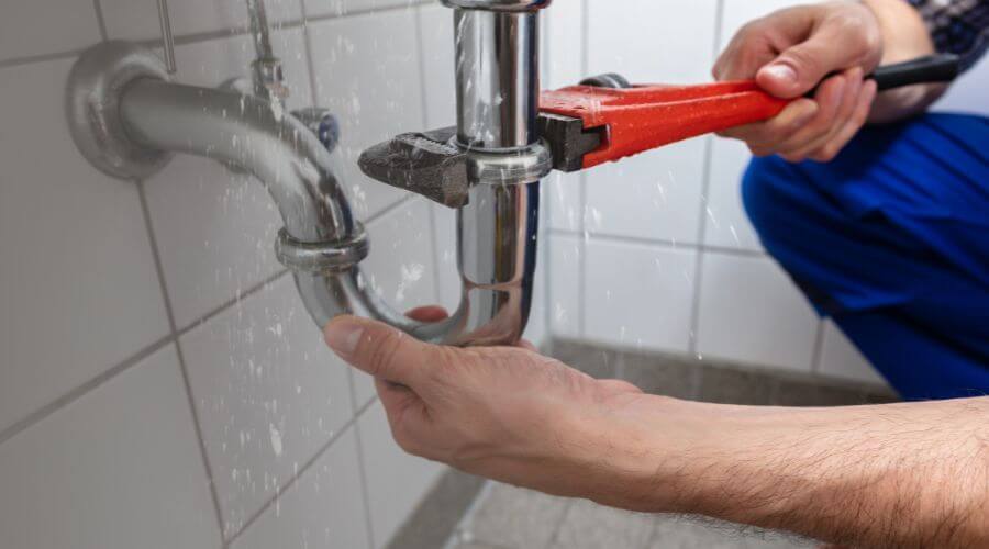 Professional Leak Detection services in Mosherville, MI